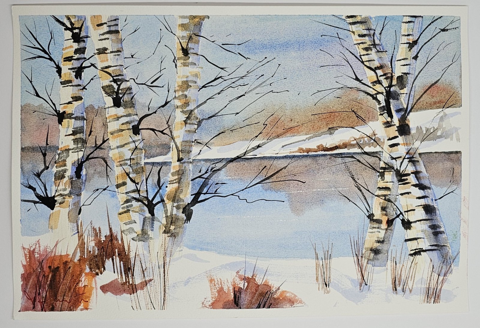 Winter Birch Trees