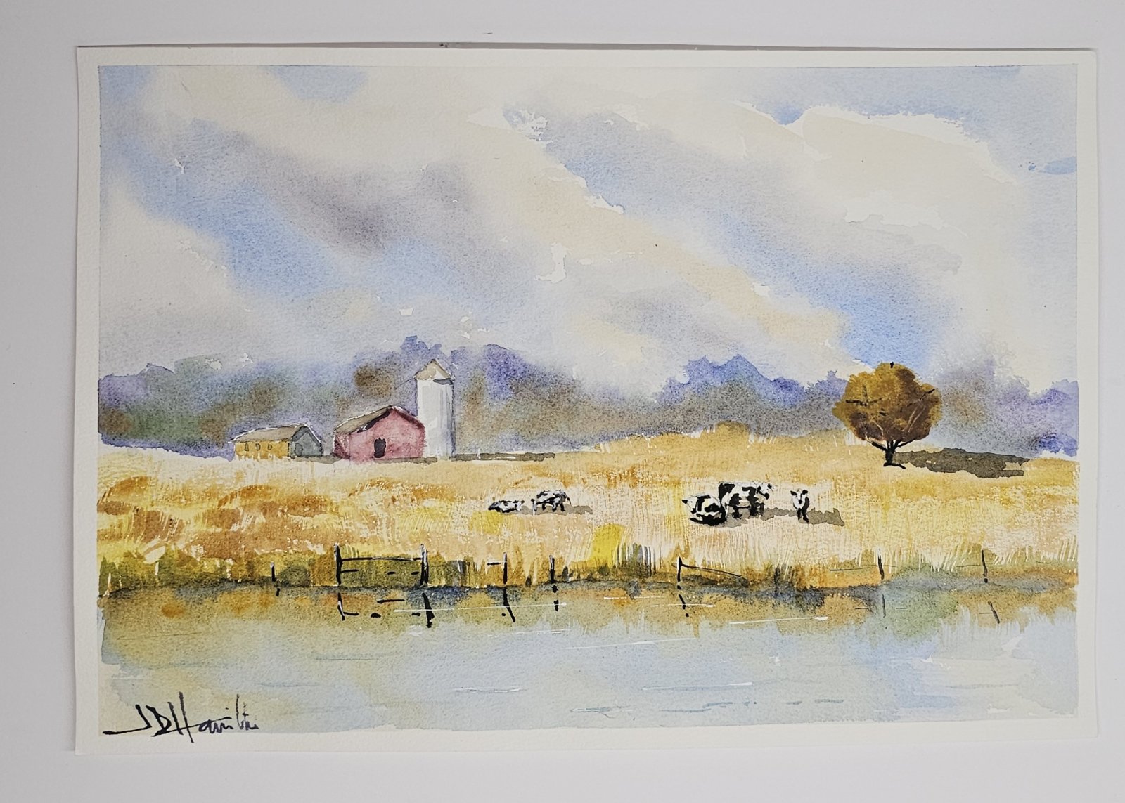 Cows Across the River